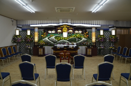 DSC_6510.JPG