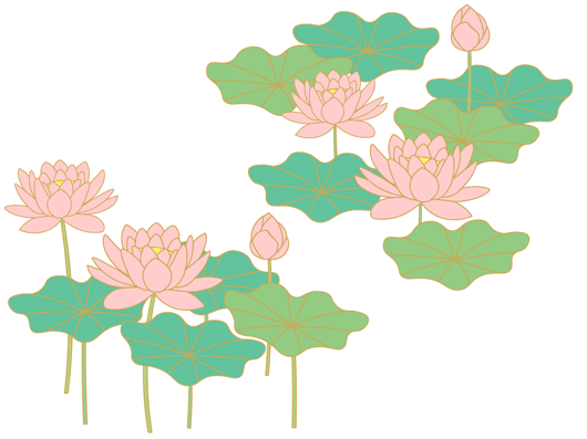 蓮の花