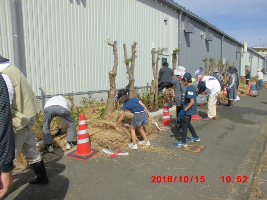 2016_10_15_0012.JPG