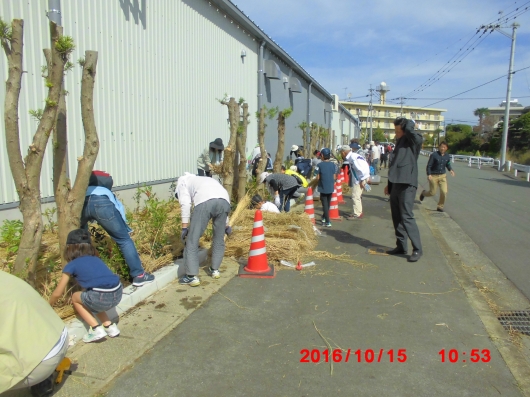 2016_10_15_0014.JPG