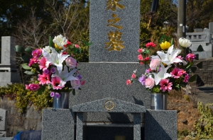 DSC_0044.JPG